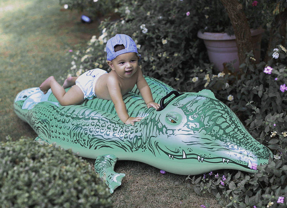 Acompanhamento mensal do José Luiz
